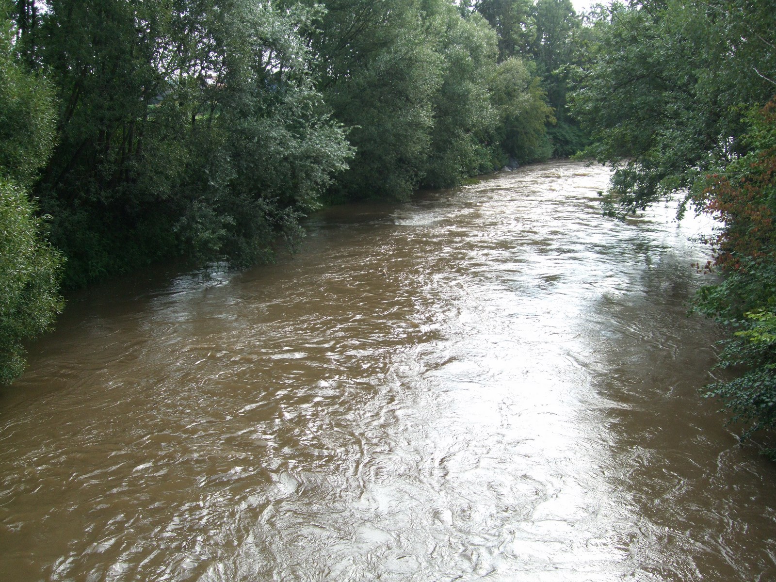 Projektwoche "Wasser"